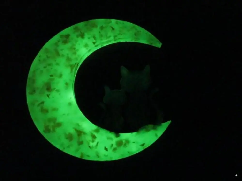 Orgonit Světluška - "Kočičí strážci" se šungitovým pudrem