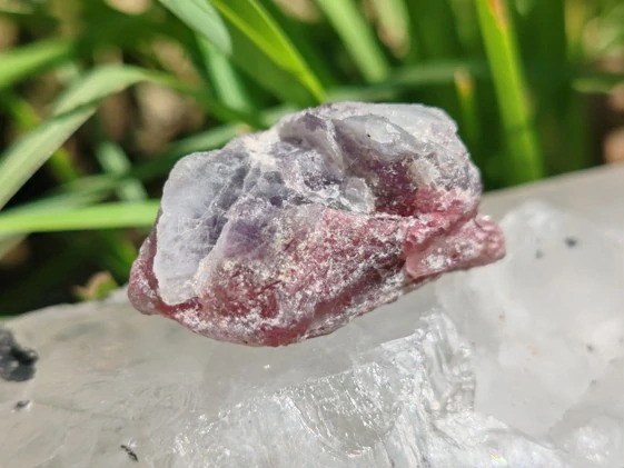Unicorn Stone / Kámen jednorožců - Most do světa magie *16gr
