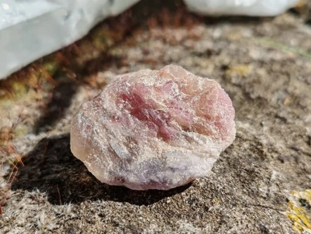 Unicorn Stone / Kámen jednorožců - Most do světa magie *18gr