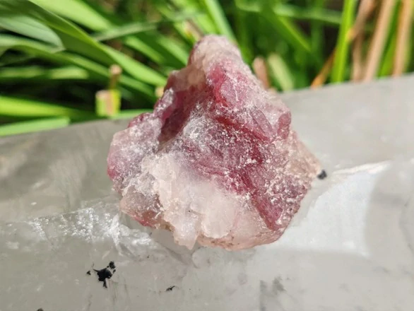 Unicorn Stone / Kámen jednorožců - Most do světa magie *22gr
