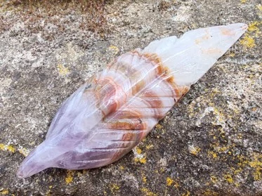 Pírko z ametystového achátu – Andělský talisman harmonie, vhledu a bezpečí *5