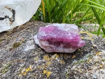 Unicorn Stone / Kámen jednorožců - Most do světa magie *10gr