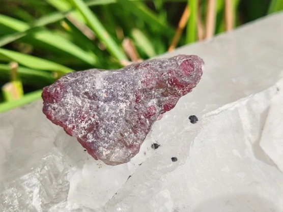 Unicorn Stone / Kámen jednorožců - Most do světa magie *10gr