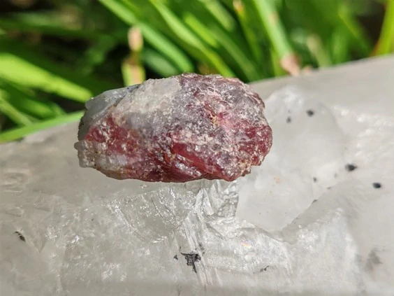 Unicorn Stone / Kámen jednorožců - Most do světa magie *10gr