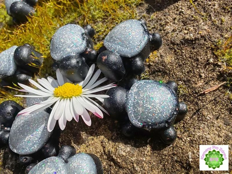 DÁREK k nákupu "Želví kouzlo pro štěstí" - orgonitová mini želvička se šungitem a třpytivým pigmentem 