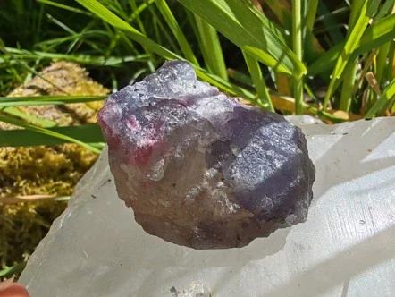 Unicorn Stone / Kámen jednorožců - Most do světa magie *36gr