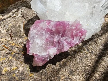 Unicorn Stone / Kámen jednorožců - Most do světa magie *7gr