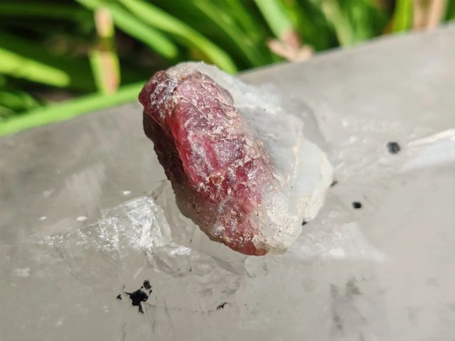 Unicorn Stone / Kámen jednorožců - Most do světa magie *10gr