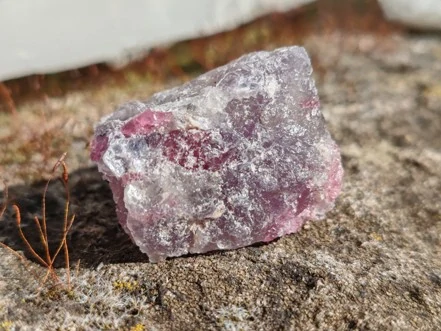 Unicorn Stone / Kámen jednorožců - Most do světa magie *20gr