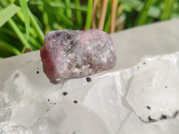 Unicorn Stone / Kámen jednorožců - Most do světa magie *9gr