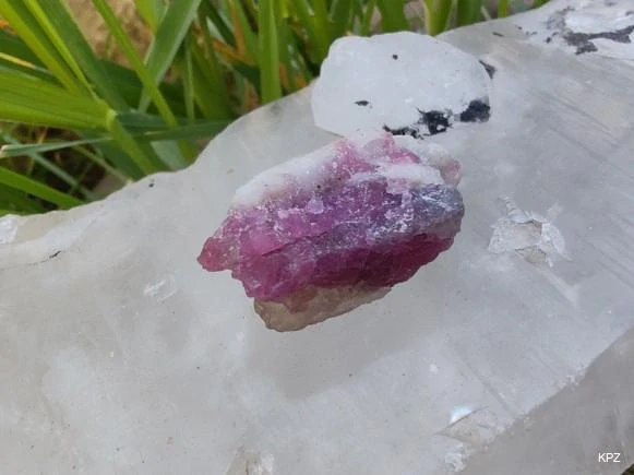 Unicorn Stone / Kámen jednorožců - Most do světa magie *10gr