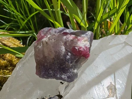 Unicorn Stone / Kámen jednorožců - Most do světa magie *36gr