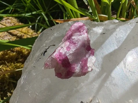 Unicorn Stone / Kámen jednorožců - Most do světa magie *7gr