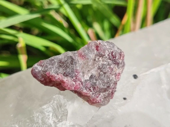 Unicorn Stone / Kámen jednorožců - Most do světa magie *10gr
