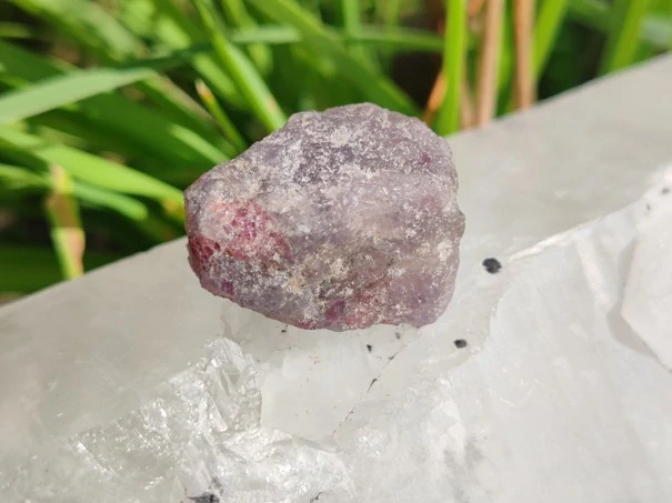Unicorn Stone / Kámen jednorožců - Most do světa magie *15gr