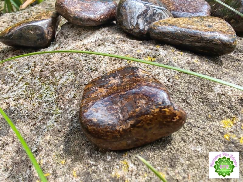 Bronzit tromlovaný, laskavý pomocník, velikost M