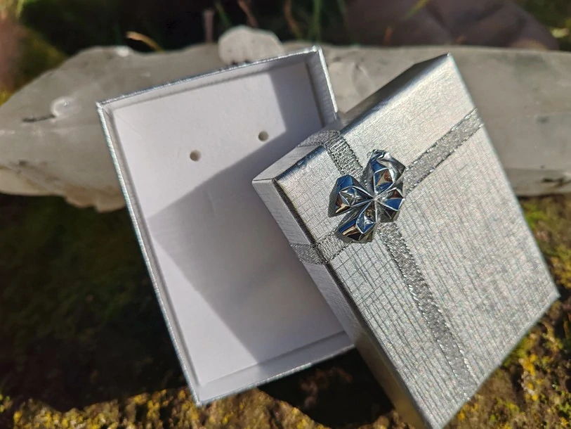 Stříbrná dárková krabička se stříbrnou mašlí: Elegance ve 3 velikostech