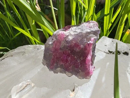 Unicorn Stone / Kámen jednorožců - Most do světa magie *42gr