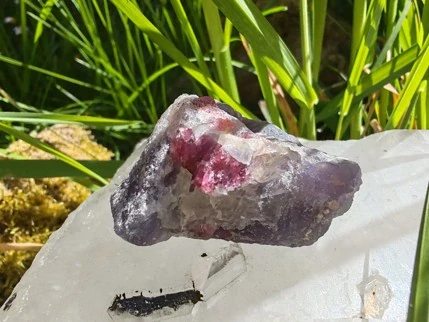Unicorn Stone / Kámen jednorožců - Most do světa magie *36gr