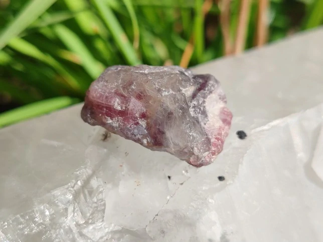 Unicorn Stone / Kámen jednorožců - Most do světa magie *9gr