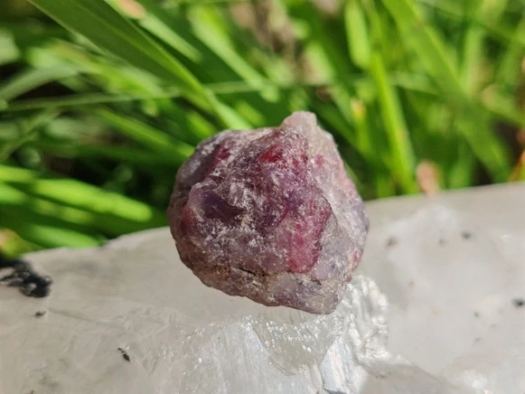Unicorn Stone / Kámen jednorožců - Most do světa magie *15gr