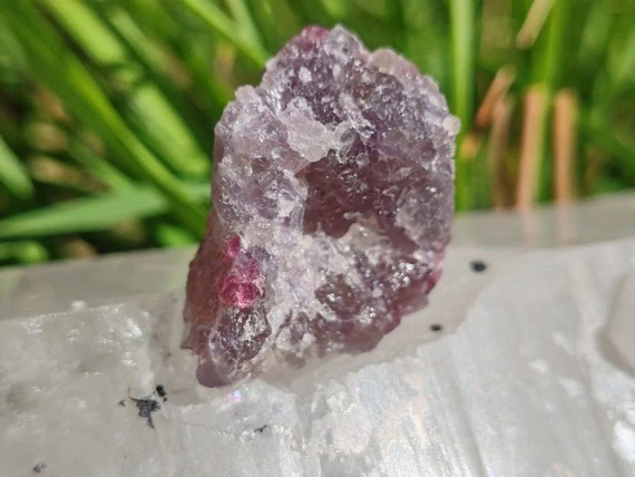 Unicorn Stone / Kámen jednorožců - Most do světa magie *20gr