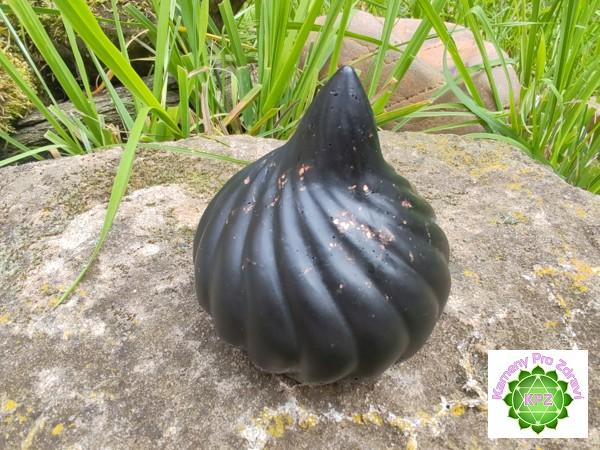 Dárek k nákupu nad 2.500,- "Šungitový strážce domova" - ochranný orgonit se šungitem