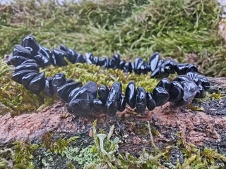 Ochranný - Náramek Černý turmalín - Skoryl