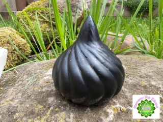 Dárek k nákupu nad 2.500,- "Šungitový strážce domova" - ochranný orgonit se šungitem