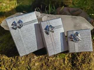 Stříbrná dárková krabička se stříbrnou mašlí: Elegance ve 3 velikostech