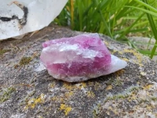 Unicorn Stone / Kámen jednorožců - Most do světa magie *10gr