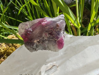 Unicorn Stone / Kámen jednorožců - Most do světa magie *26gr