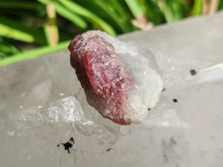 Unicorn Stone / Kámen jednorožců - Most do světa magie *10gr