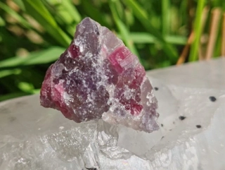 Unicorn Stone / Kámen jednorožců - Most do světa magie *20gr