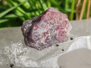 Unicorn Stone / Kámen jednorožců - Most do světa magie *15gr